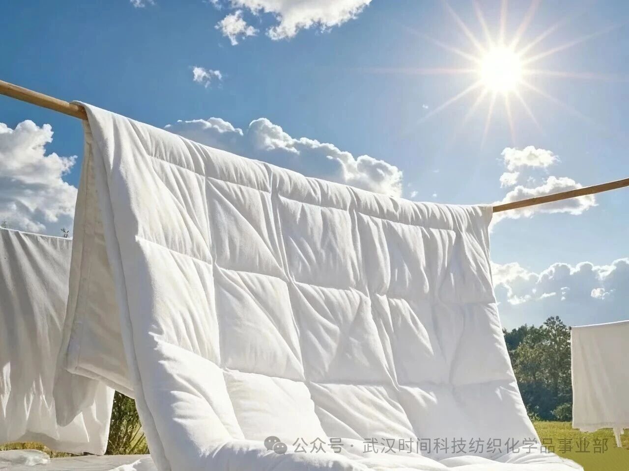 防螨！已成為健康的&ldquo;新剛需&rdquo;--武漢時(shí)間科技推出紡織品防螨整理劑喜化&reg;植螨零