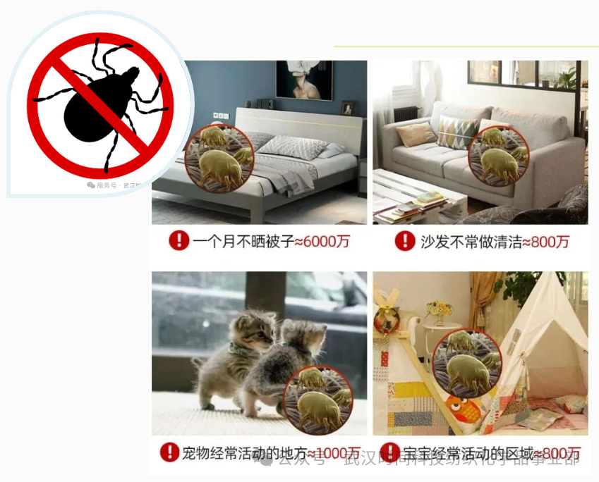 防螨！已成為健康的&ldquo;新剛需&rdquo;--武漢時(shí)間科技推出紡織品防螨整理劑喜化&reg;植螨零